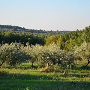 Villa Olivetta - Istrische Mit Meerblick Nahe Porec, Barat (Porec)